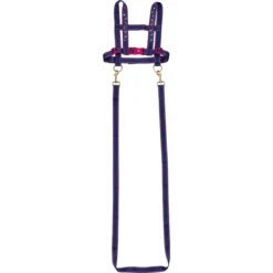 SPIEGELBURG COPPENRATH Pferdeleine Pferdefreunde